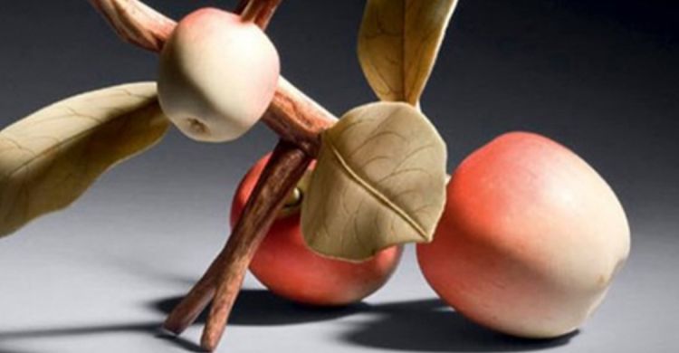 Ono Kanryo - Ivory okimono of an apple branch