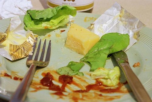 Martin Parr - British Food, Diner plate