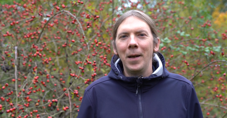 Uli Westphal - Shelflife (5/6)