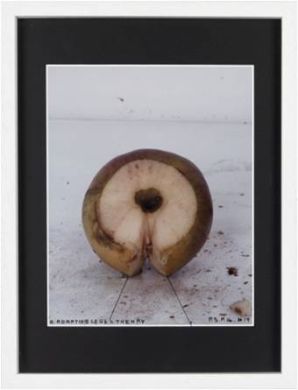 Thomas Zipp - P.S.P.H. #19