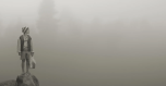 Im Wald, Im Nebel
