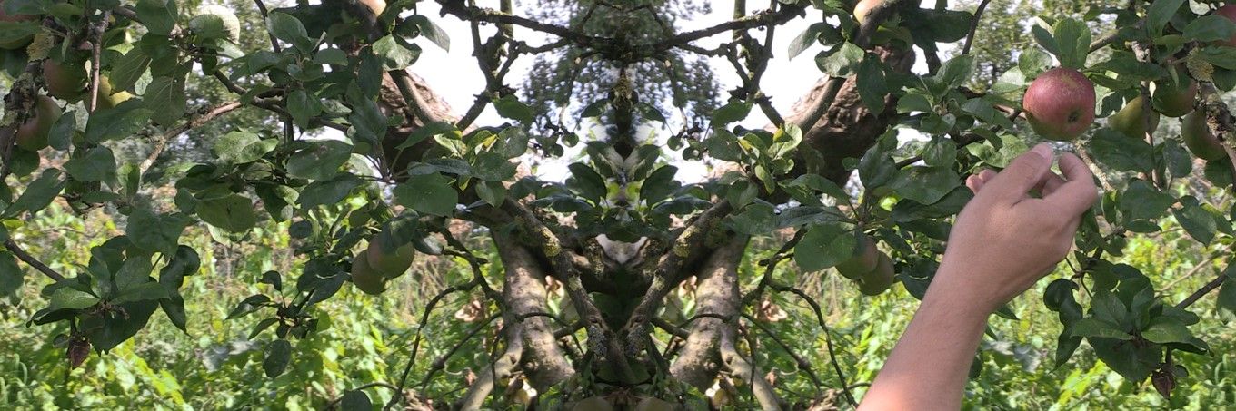 Caspar Berger - Should I stay or Should I go / Self-portrait 46 