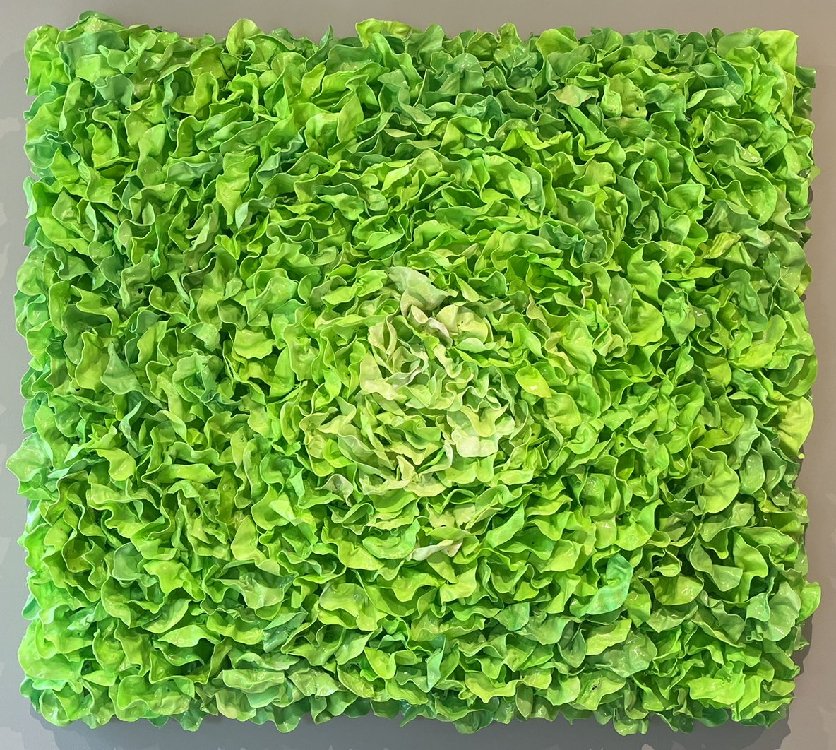 Stefan Gross - Grosser Viereckiger Salat