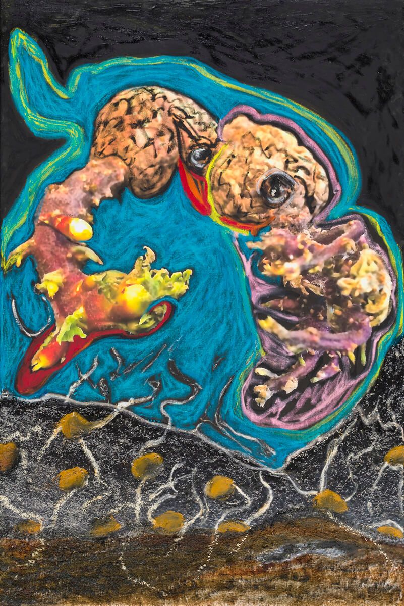 Jacqueline de Jong - Potato's in Amorosa 