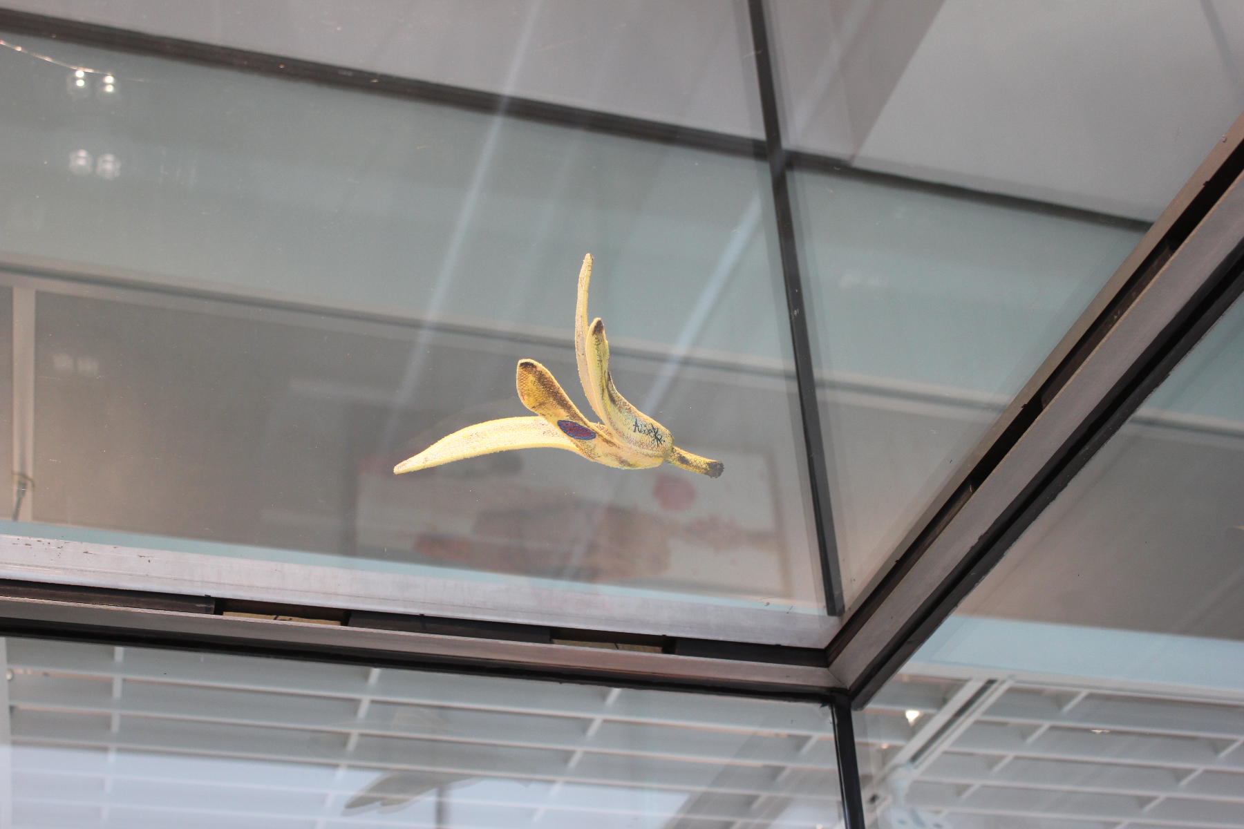 Alicja Kozłowska  - Andy