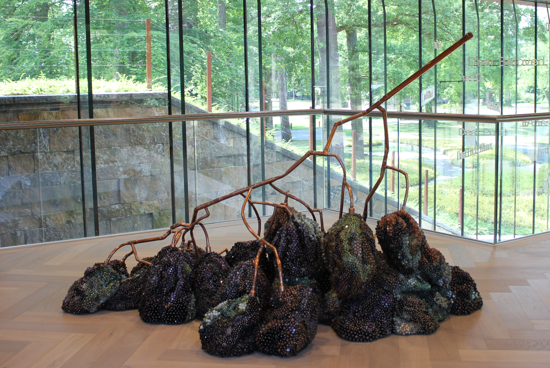 Kathleen Ryan - Bad Grapes