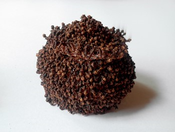 Regula Maria Müller - Kruidnagelpot