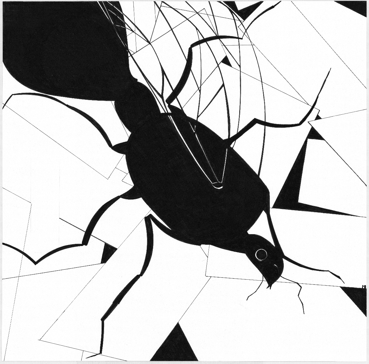 Mariette Meijers - Kastwerk