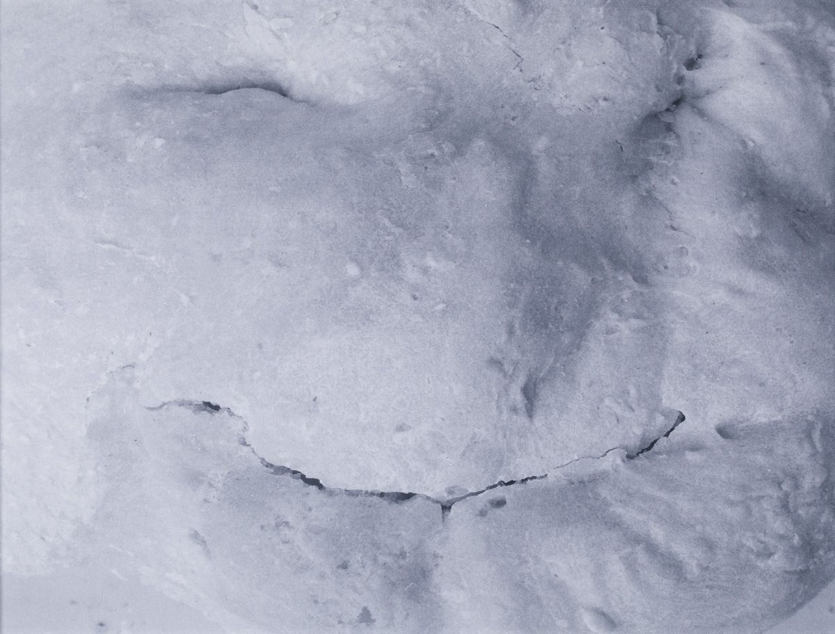 Silvia Steiger - Deegportretten