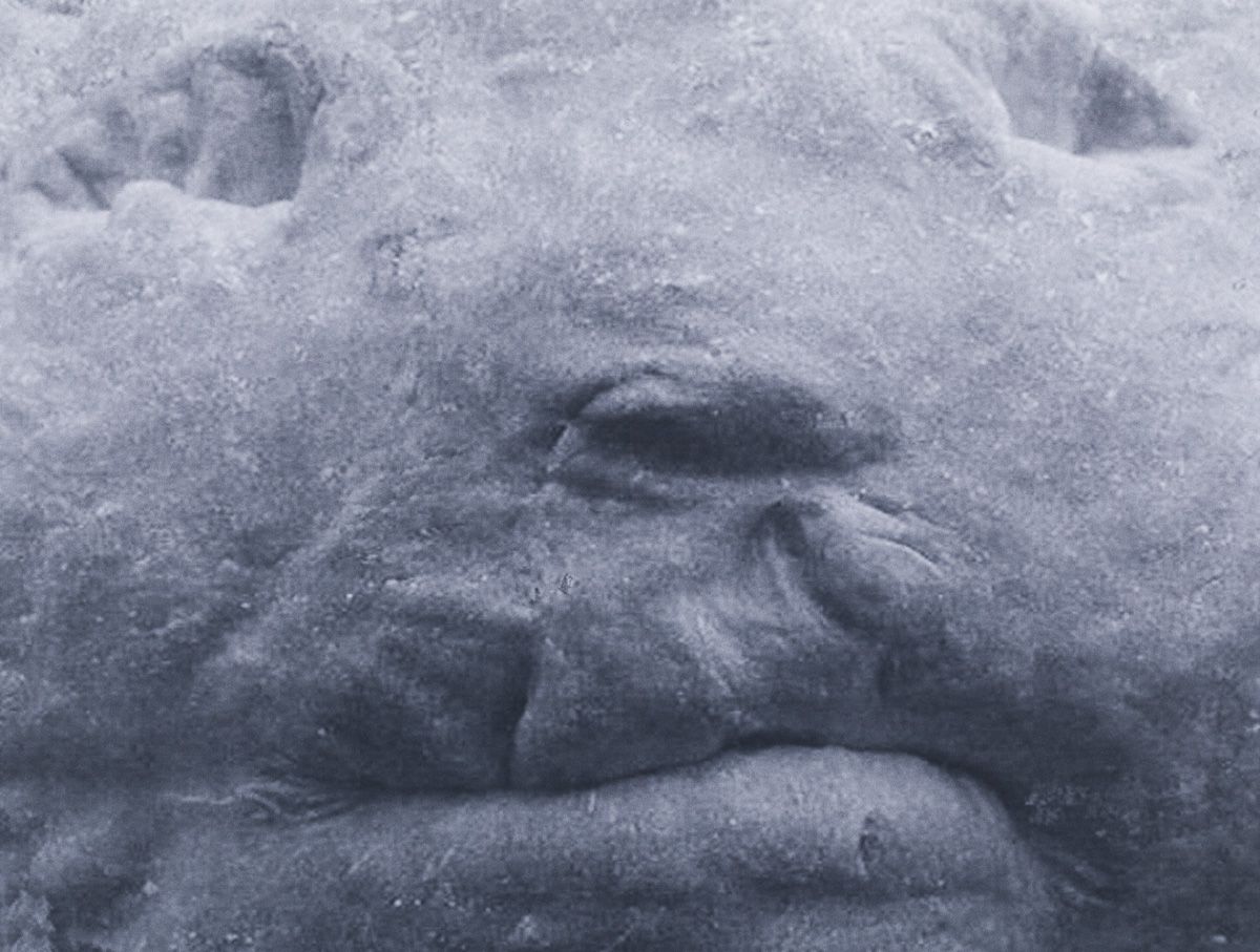 Silvia Steiger - Deegportretten