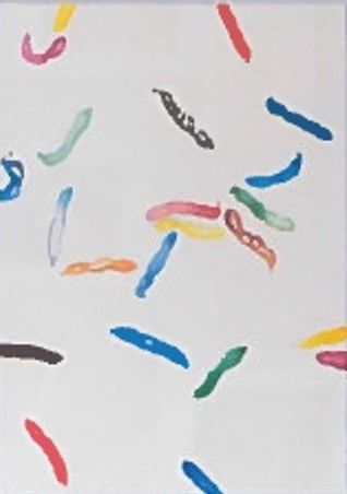 Silvia Steiger - Signs of fruit