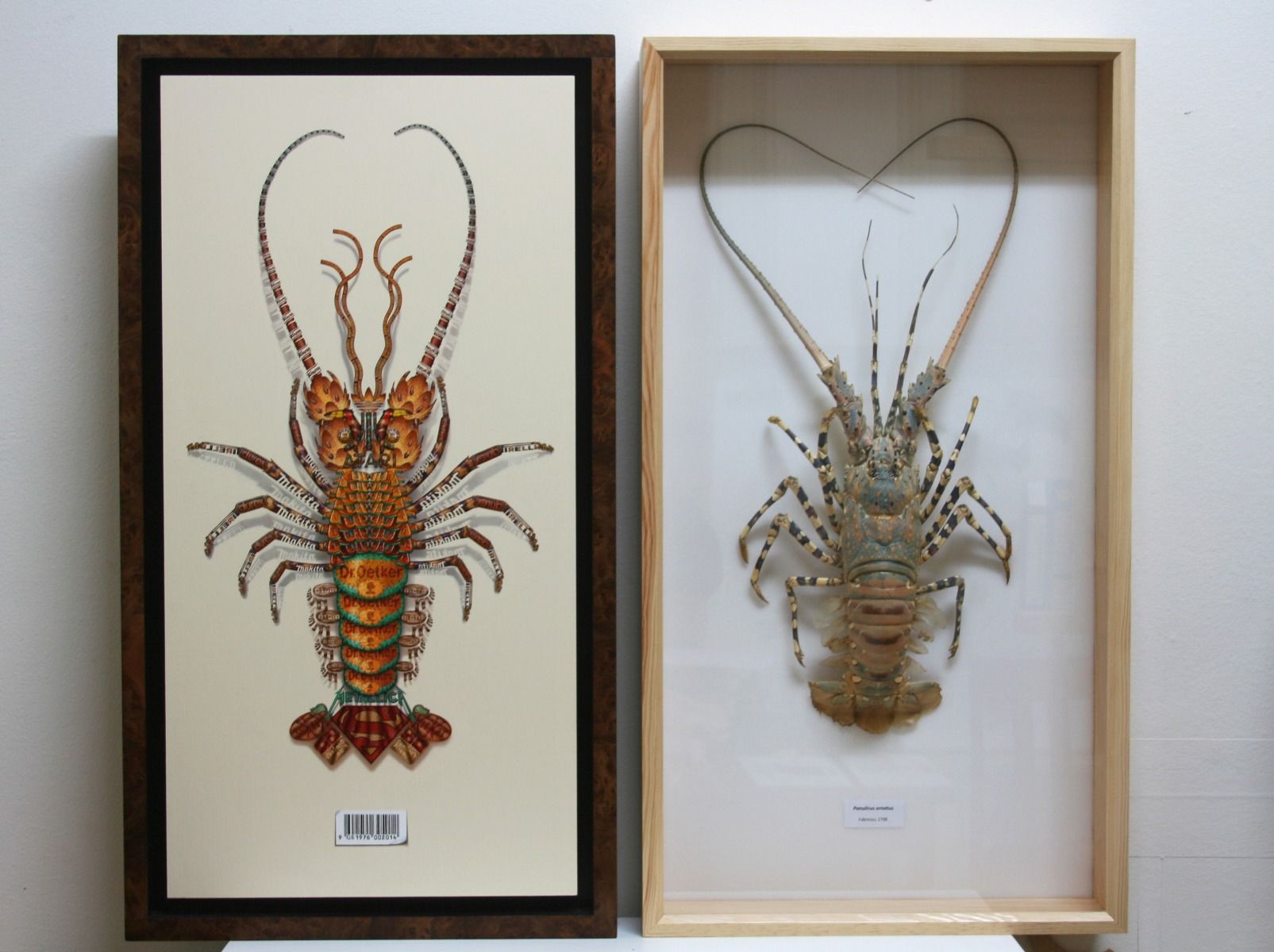 Gurt Swanenberg - Cryptozoölogie #9