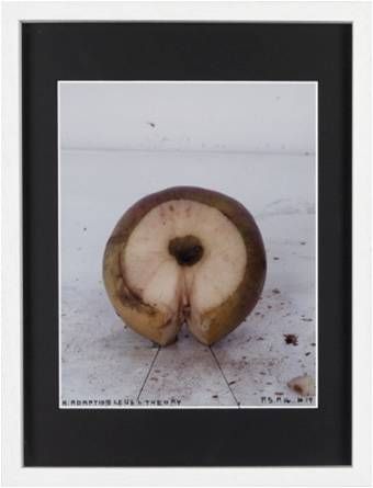 Thomas Zipp - P.S.P.H. #19